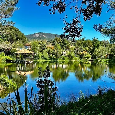 Les Restanques 4027 Vue Grande Terrasse